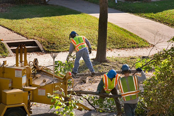 Best Pest Control for Lawns  in Thomaston, NY